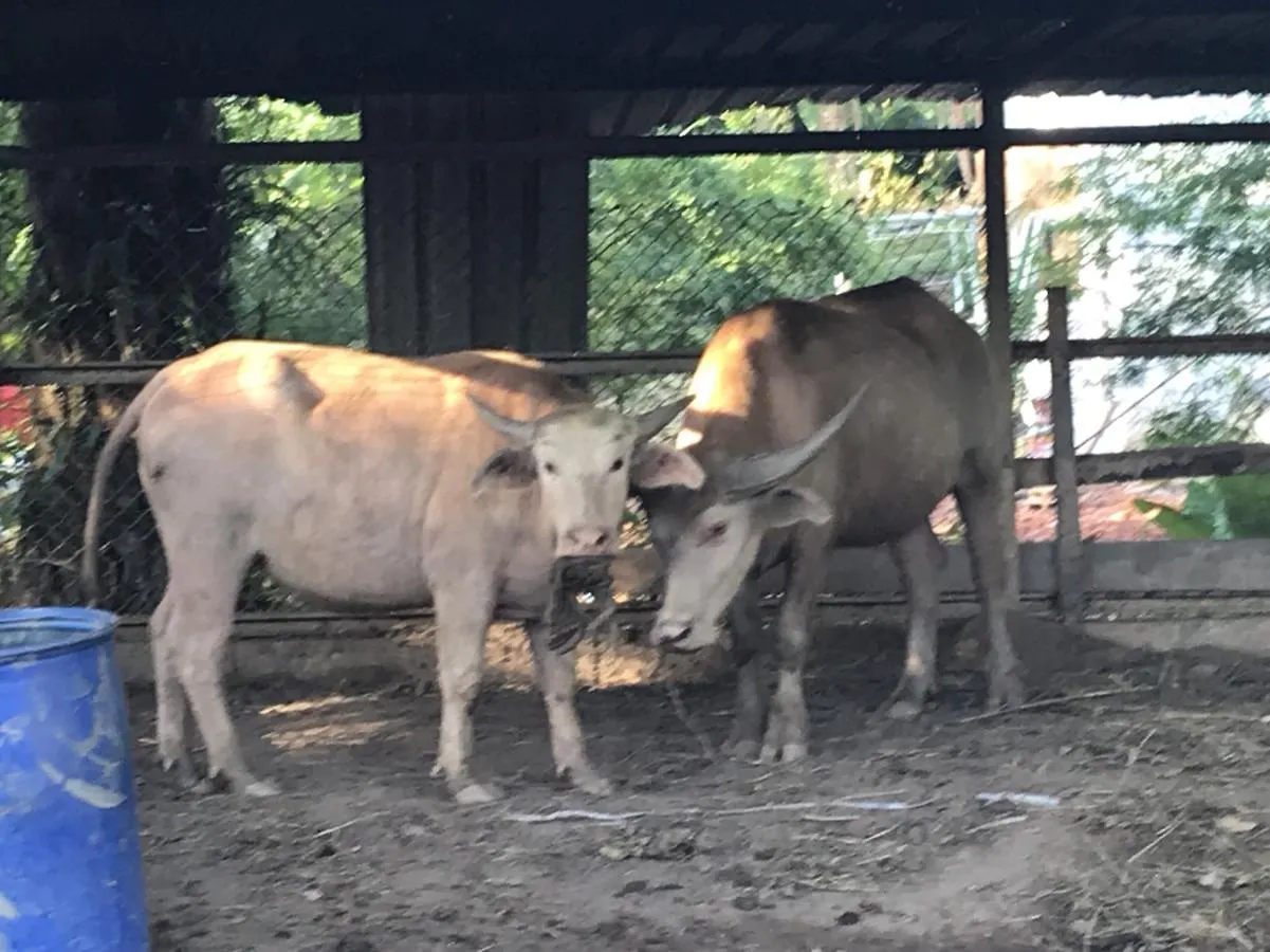 Phang-Nga Farm Stay Khao Lak