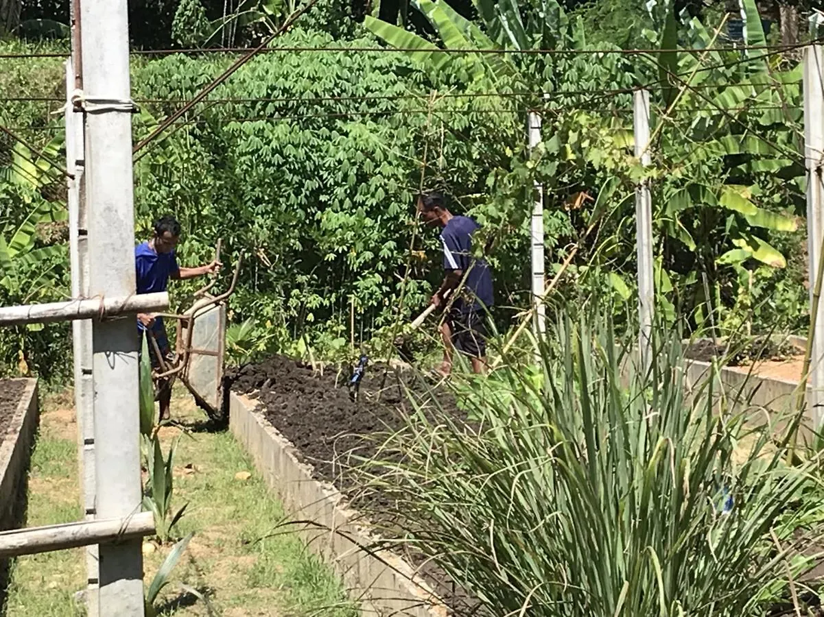 Phang-Nga Farm Stay Khao Lak