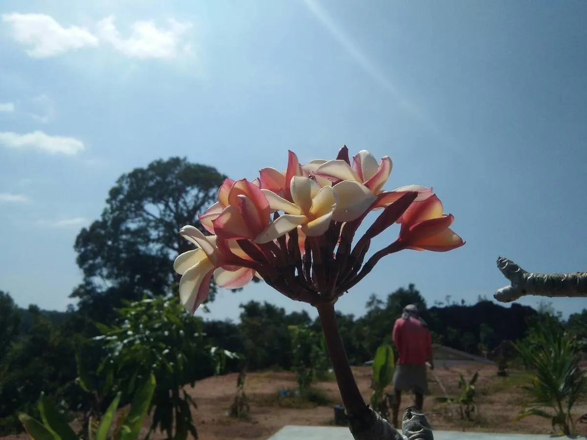 Phang-Nga Farm Stay Khao Lak