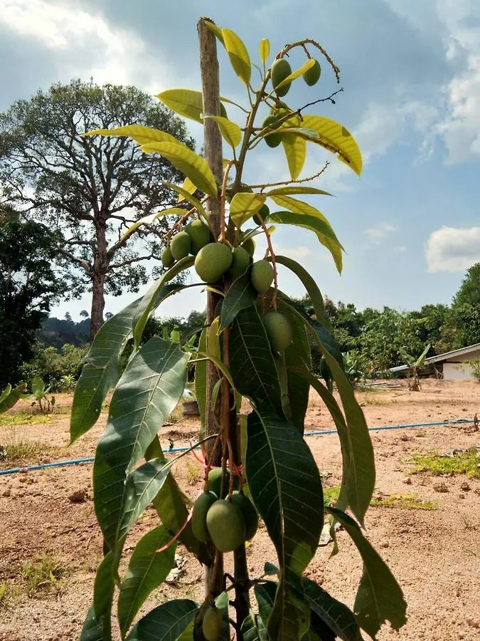 Phang-Nga Farm Stay Khao Lak