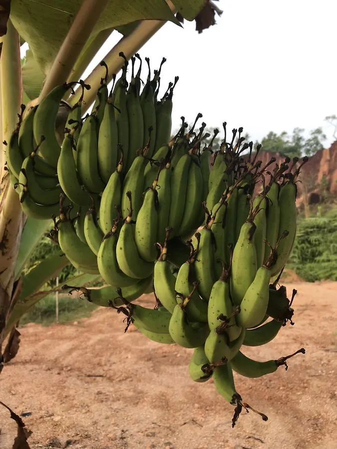 Phang-Nga Farm Stay Khao Lak