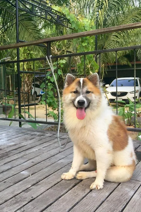 Phang-Nga Farm Stay Khao Lak Thailand