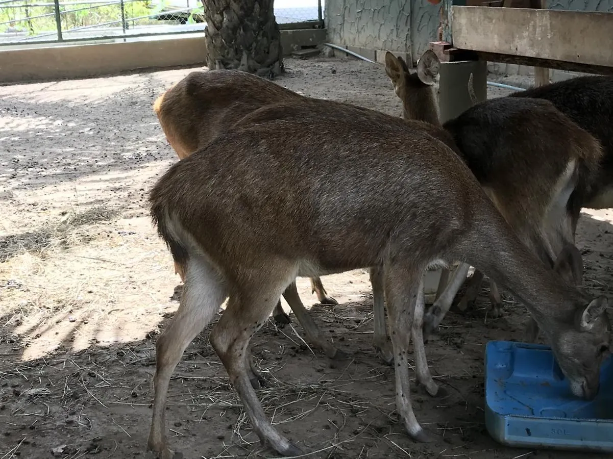 Phang-Nga Farm Stay Khao Lak Thailand