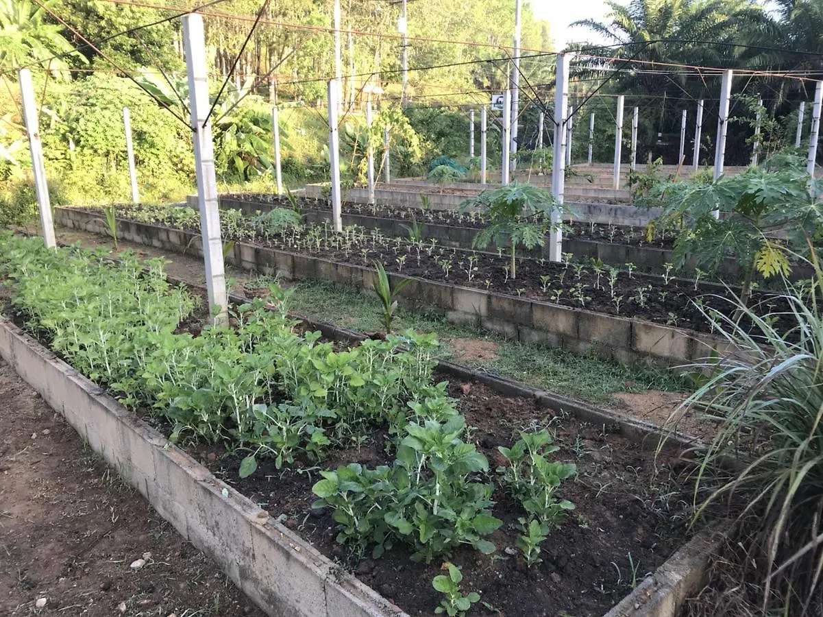 Phang-Nga Farm Stay Khao Lak